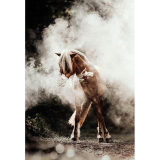 Fine art photography print of a Haflinger horse in a cloud of dust by Lara Baeriswyl