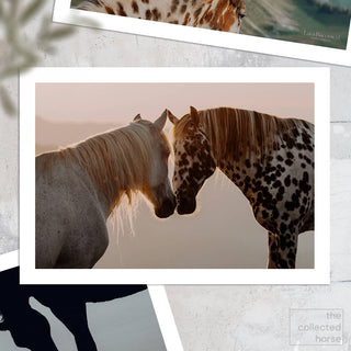 Horse art print of an Appaloosa and gray horse by Lara Baeriswyl - paper print mockup