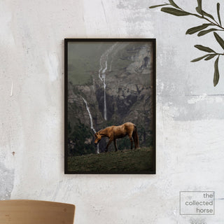 Equine wall art print of an Icelandic horse by a waterfall by Lara Baeriswyl - wall art print mockup