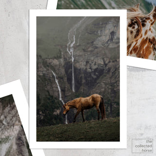 Equine wall art print of an Icelandic horse by a waterfall by Lara Baeriswyl - paper art print mockup