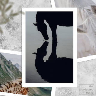 Fine art print of a horse silhouette reflected in water by photographer Lara Baeriswyl - paper art print mockup