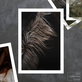 Fine art equine photography of a horse mane by Lara Baeriswyl - paper art print mockup