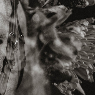 Black and white film photo of a horse overlaid with flowers by Sara Ceraldi - flower detail