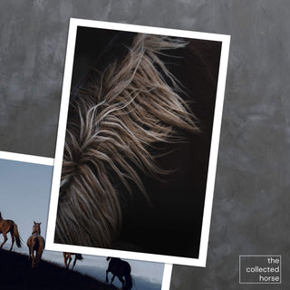 Fine art equine photography print of a horse's mane by Lara Baeriswyl