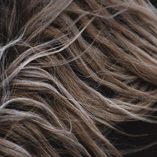 Fine art equine photography print of a horse's mane by Lara Baeriswyl - detail