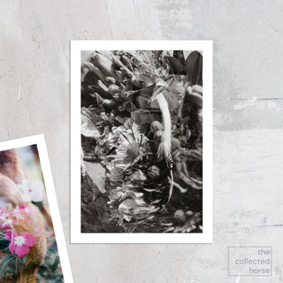 multiple exposure film photo of a horse with flowers in black and white by sara ceraldi - paper print mockup