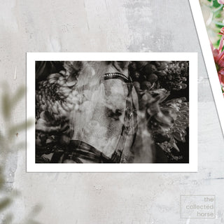 bloom V