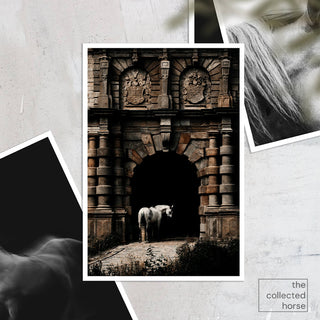 Fine art photography print of a grey horse in front of a medieval castle by Anna Archinger - paper mockup