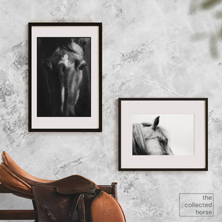 Black and white portrait of a horse by Anna Archinger - gallery wall mockup with saddle