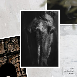 Black and white portrait of a horse by Anna Archinger - paper print mockup