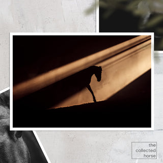 Dramatic silhouette of a horse in a beam of light by Anna Archinger - paper print mockup