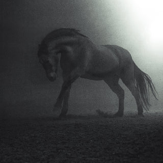 Dramatic fine art photography print of a horse galloping through darkness by Anna Archinger - horse detail