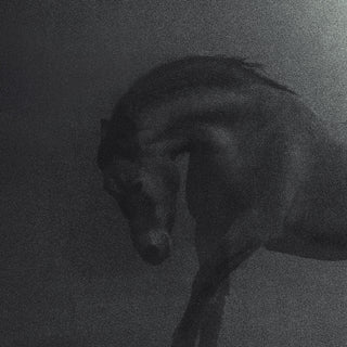 Dramatic fine art photography print of a horse galloping through darkness by Anna Archinger - horse detail