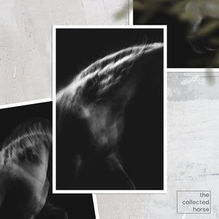 Spirit in the Dark I