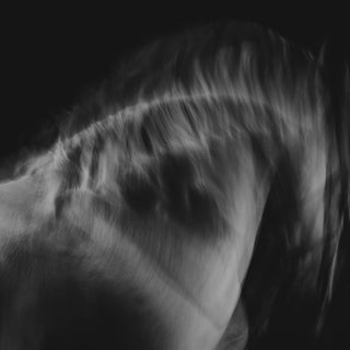 Fine art photography print of a gray horse in motion against a black background by Anna Archinger - mane detail