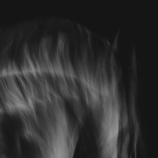 Fine art photography print of a gray horse in motion against a black background by Anna Archinger - poll and mane detail