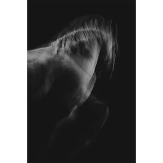 Fine art photography print of a gray horse in motion against a black background by Anna Archinger