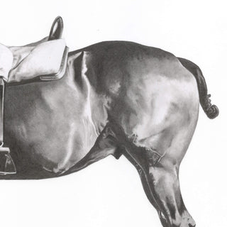 Original pencil illustration of an endurance horse by equine artist Hailey Sullivan - horse tail and hindquarters detail
