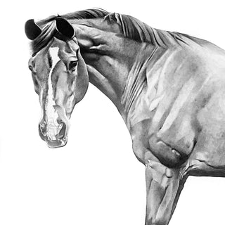 Minimalist horse art portrait "KC" by Hailey Sullivan - Head detail