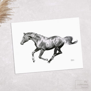 Original charcoal drawing of a galloping horse by equine artist Hailey Sullivan - print mockup 2