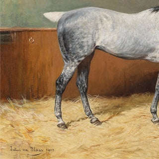 Dappled Grey