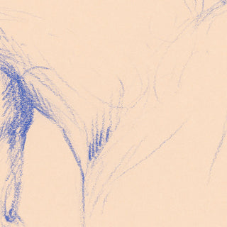 original equestrian line art sketch of a horse with an arched neck by equine artist Danielle Demers - sketch detail