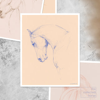 original equestrian line art sketch of a horse with an arched neck by equine artist Danielle Demers - paper print mockup