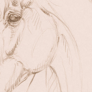 Minimalist equestrian sketch of a horse portrait by equine artist Danielle Demers - line detail