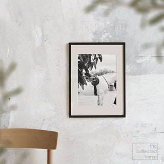 Black and white fine art equine photography print of a grey hunter in an Antares saddle by Morgan German - framed matted giclée print