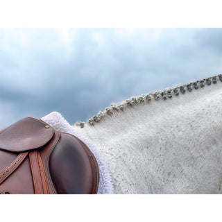 A grey hunter horse with a braided mane against a blue sky by Morgan German