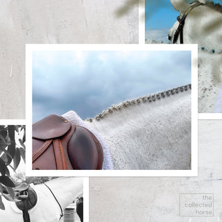 A grey hunter horse with a braided mane against a blue sky by Morgan German - paper giclée mockup