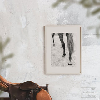 Black and white equine photography art print of a gray horse's hocks by Morgan German - framed wall art print with saddle