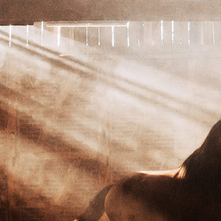 Dramatic fine art photo of a horse inside a dusty arena by Janine Ulbrich - background and grain detail