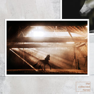 Dramatic fine art photo of a horse inside a dusty arena by Janine Ulbrich - paper art print detail