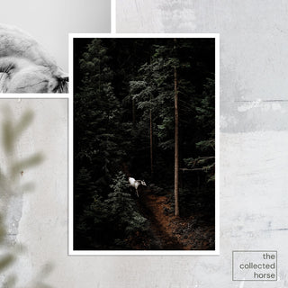Fine art photography print of a gray horse in a dark forest by Janine Ulbrich - paper print mockup