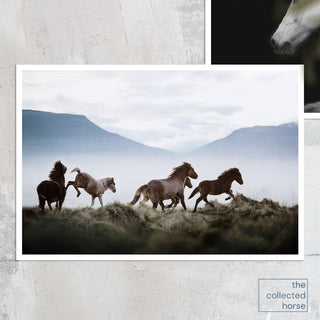Fine art equine photography print of Icelandic horses by Janine Ulbrich - paper print mockup