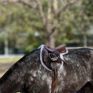 Equestrian photography art print of a dark dapple gray horse wearing english tack with braids by equine photographer Morgan German - detail 2