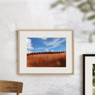 Equine photography art print of a chesnut hunter with braids against a blue sky by equestrian photographer Morgan German - wall mockup