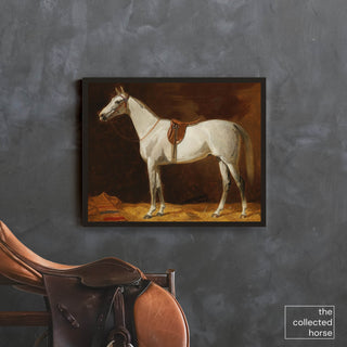 Vintage equestrian portrait of a gray mare in English tack by Emil Volkers - art print mockup 2