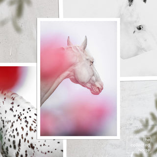 Paper giclée art print of a white horse with pink flowers by Carolin Felgner