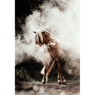  Fine art photography print of a Haflinger horse in a cloud of dust by Lara Baeriswyl