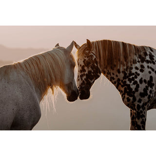 Horse art print of an Appaloosa and gray horse by Lara Baeriswyl