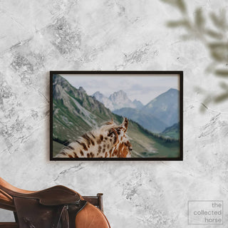 Fine art horse photography print of a Appaloosa horse in the Swiss mountains by Lara Baeriswyl - wall art print mockup