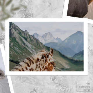 Fine art horse photography print of a Appaloosa horse in the Swiss mountains by Lara Baeriswyl - paper art print mockup