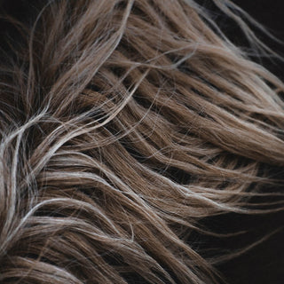 Fine art equine photography of a horse mane by Lara Baeriswyl - texture detail