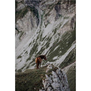 Fine art print of a horse standing on a Swiss mountain by Lara Baeriswyl