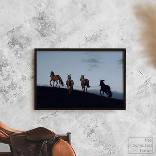 Equine fine art photography print of 4 horses at dusk by Lara Baeriswyl - wall art print mockup with saddle
