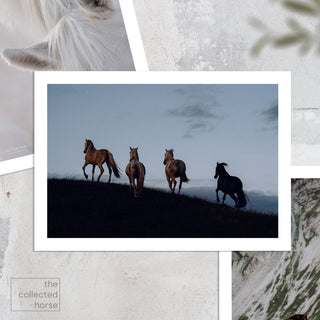 Equine fine art photography print of 4 horses at dusk by Lara Baeriswyl - paper art print mockup