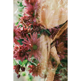 Multiple exposure film photography of a horse and pink flowers by Sara Ceraldi