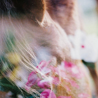 Multiple exposure film photography art print of a chestnut pony and pink flowers by Sara Ceraldi - horse ear detail